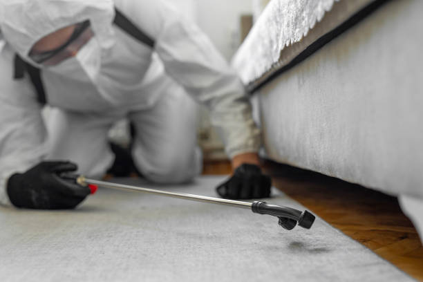 Professional Termite Control technician working in Marion, TX