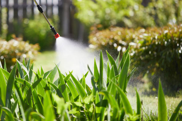 24/7 Emergency Termite Control experts in Marion, TX